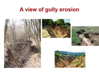 Comprehensive Overview of Gully Erosion: Causes, Development, and ...
