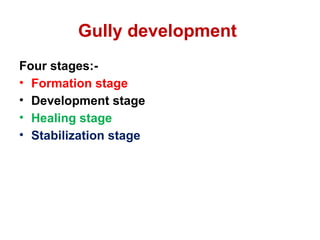 Gully erosion.pptx forms of water erosion | PPTX