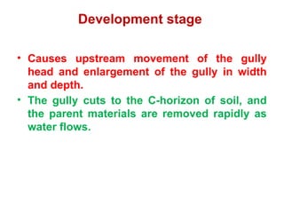 Gully erosion.pptx forms of water erosion | PPTX