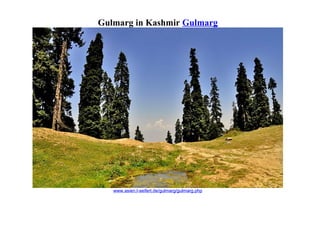 Gulmarg in Kashmir Gulmarg
www.asien.l-seifert.de/gulmarg/gulmarg.php
 
