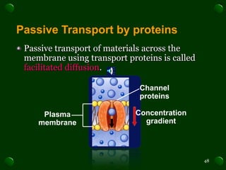 Plasma/Cell Membrane | PPTX