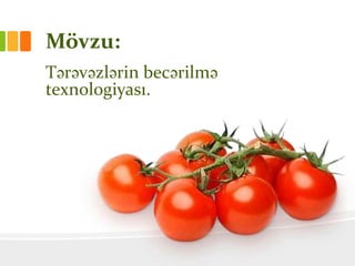 Mövzu:
Tərəvəzlərin becərilmə
texnologiyası.
 