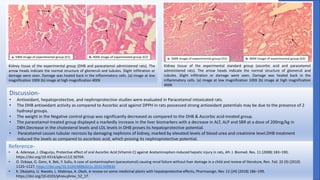 Screening of DHB against Hepatorenal toxicity. | PPT