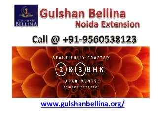 www.gulshanbellina.org/
 