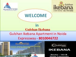 WELCOME
in
Gulshan Ikebana Apartment in Noida
Expressway - 8010046722
Gulshan Ikebana
 