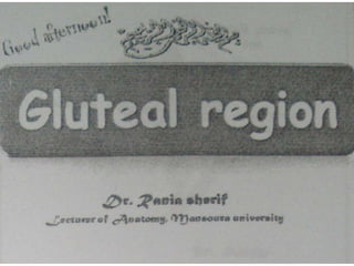 Gulteal region