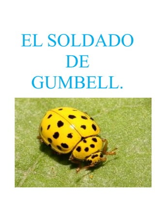 EL SOLDADO
DE
GUMBELL.
 