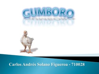 GUMBORO Carlos Andrés Solano Figueroa - 710028 