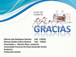 Edisson Iván Rodríguez Sánchez Cód. 710258
Manuel Alcides Gomes Buelvas Cód. 710221
Presentado a : Myriam Meza zootecnia
Universidad Francisco De Paula Santander Ocaña
Zootecnia
Producción Avícola
 