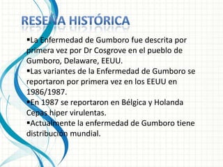La Enfermedad de Gumboro fue descrita por
primera vez por Dr Cosgrove en el pueblo de
Gumboro, Delaware, EEUU.
Las variantes de la Enfermedad de Gumboro se
reportaron por primera vez en los EEUU en
1986/1987.
En 1987 se reportaron en Bélgica y Holanda
Cepas hiper virulentas.
Actualmente la enfermedad de Gumboro tiene
distribución mundial.
 