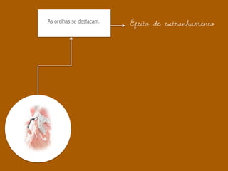 As orelhas se destacam. Efeito de estranhamento
 