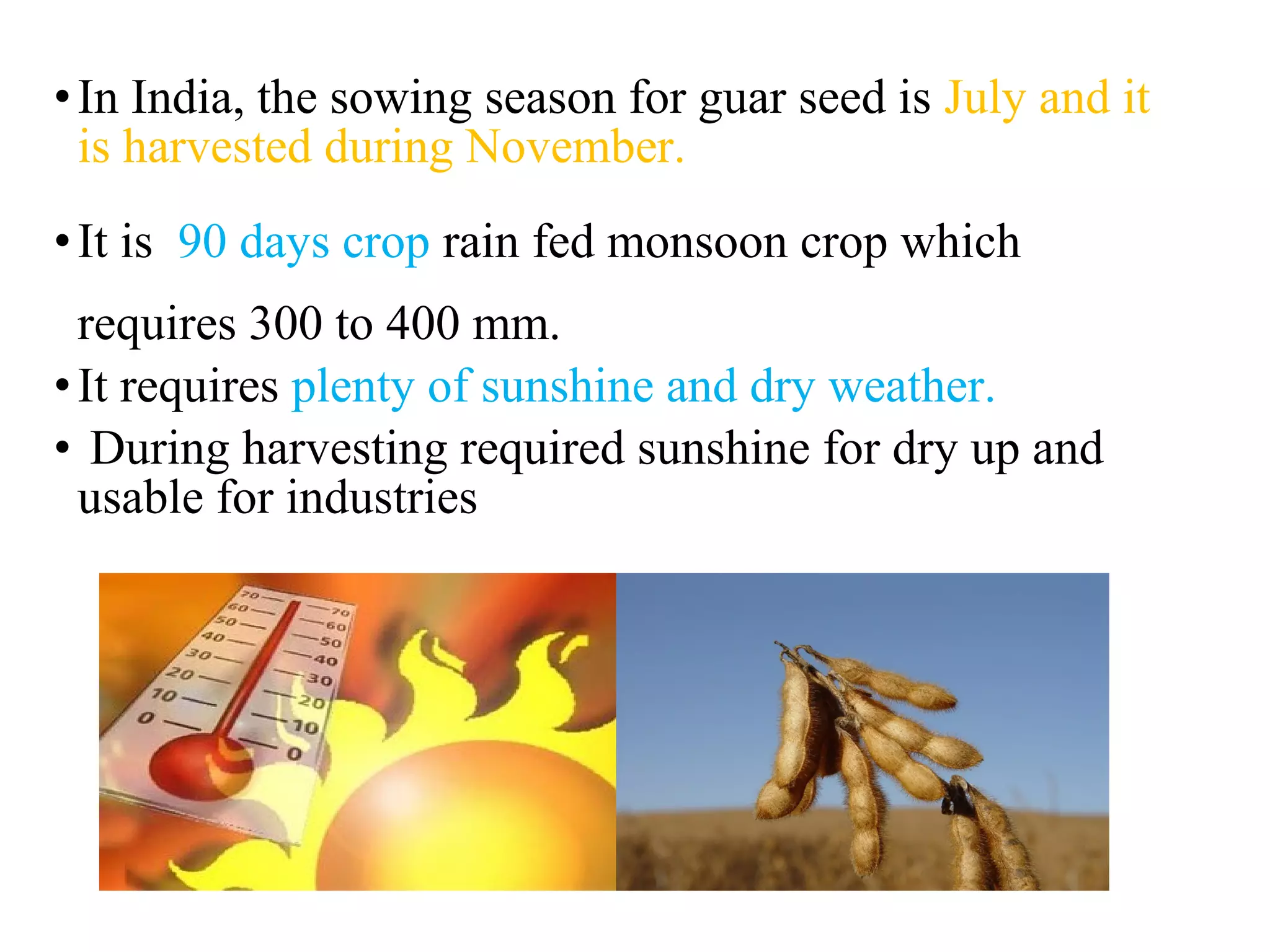 •In India, the sowing season for guar seed is July and it
is harvested during November.
•It is 90 days crop rain fed monsoon crop which
requires 300 to 400 mm.
•It requires plenty of sunshine and dry weather.
• During harvesting required sunshine for dry up and
usable for industries
 