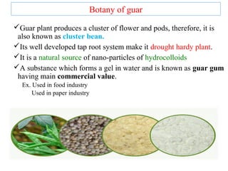 Guar Roots Gum gaur applications and potentials | PPT