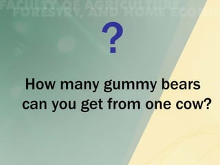 How many gummy bears
can you get from one cow?
 