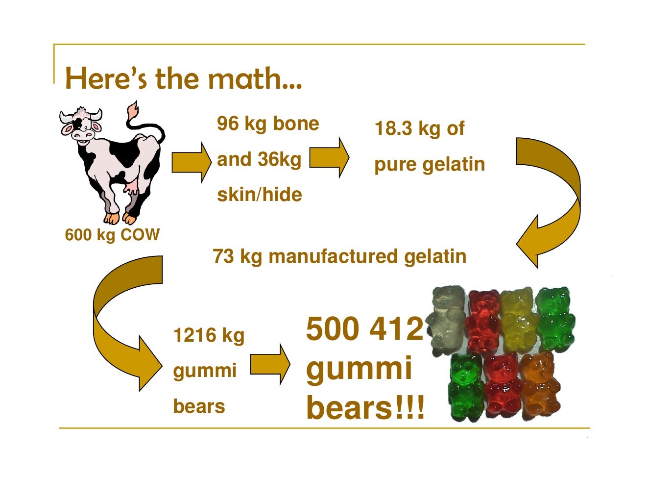 How many gummi bears can you get from one cow?