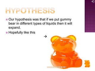 Gummy bear experiment | PPTX