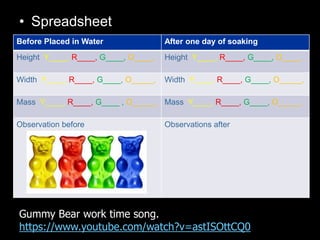 • Spreadsheet
Before Placed in Water After one day of soaking
Height Y____, R____, G____, O____, Height Y____, R____, G___...