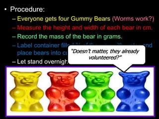 • Procedure:
– Everyone gets four Gummy Bears (Worms work?)
– Measure the height and width of each bear in cm.
– Record th...