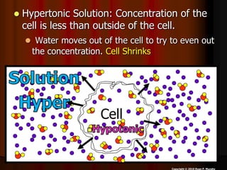 • Optional Activity!
Osmosis and Corn
Syrup.
– The corn syrup was
hypertonic (more
solute). Water was
hypotonic. The water...