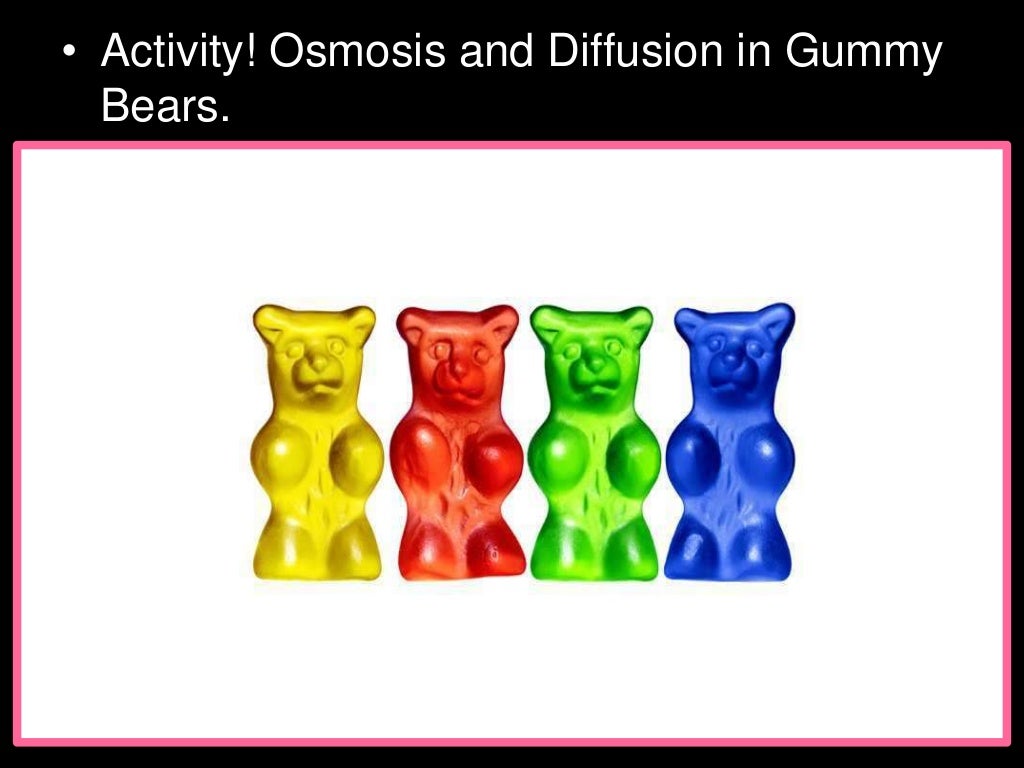 Osmosis Gummy Bear Lesson PowerPoint, Cell Biology, Cell Transport