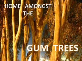 HOME   AMONGST THE GUM  TREES 