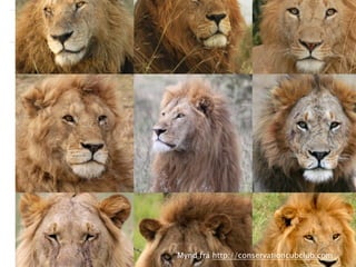 openaccessweek.org

OA vika
2013

Mynd frá http://conservationcubclub.com

Málþing um opinn aðgang 2013, Háskólanum í Reykjavík | opinnadgangur.is

 