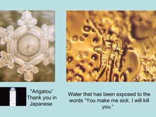 "Arigatou“ Thank you in Japanese  Water that has been exposed to the words “You make me sick. I will kill you.“  