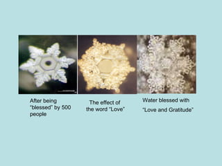 Water blessed with “ Love and Gratitude” After being “blessed” by 500 people The effect of  the word “Love” 