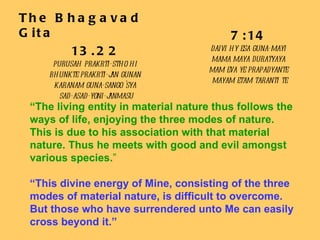 The Bhagavad Gita 13.22 purusah prakrti-stho hi  bhunkte prakrti-jan gunan  karanam guna-sango 'sya  sad-asad-yoni-janmasu “ The living entity in material nature thus follows the ways of life, enjoying the three modes of nature. This is due to his association with that material nature. Thus he meets with good and evil amongst various species. ” “ This divine energy of Mine, consisting of the three modes of material nature, is difficult to overcome. But those who have surrendered unto Me can easily cross beyond it.” 7:14 daivi hy esa guna-mayi  mama maya duratyaya  mam eva ye prapadyante  mayam etam taranti te 