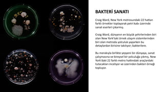 BAKTERİ	
  SANATI	
  
	
  
Craig	
  Ward,	
  New	
  York	
  metrosundaki	
  22	
  hadan	
  
farklı	
  örnekler	
  toplayarak	
  petri	
  kabı	
  üzerinde	
  
sanat	
  eserleri	
  çıkarmış.	
  
	
  
Craig	
  Ward,	
  dünyanın	
  en	
  büyük	
  şehirlerinden	
  biri	
  
olan	
  New	
  York'taki	
  örnek	
  ulaşım	
  sistemlerinden	
  
biri	
  olan	
  metroda	
  yolculuk	
  yaparken	
  bu	
  
detaylardan	
  birisine	
  takılıyor;	
  bakterilere.	
  	
  
	
  
Bu	
  merakıyla	
  birlikte	
  yepyeni	
  bir	
  dünyaya,	
  sanat	
  
çalışmasına	
  ve	
  bireysel	
  bir	
  yolculuğa	
  çıkmış.	
  New	
  
York'daki	
  22	
  farklı	
  metro	
  hapndaki	
  araçlardaki	
  
tutacakları	
  inceliyor	
  ve	
  üzerinden	
  bakteri	
  örneği	
  
topluyor.	
  	
  
	
  	
  
	
  
 
