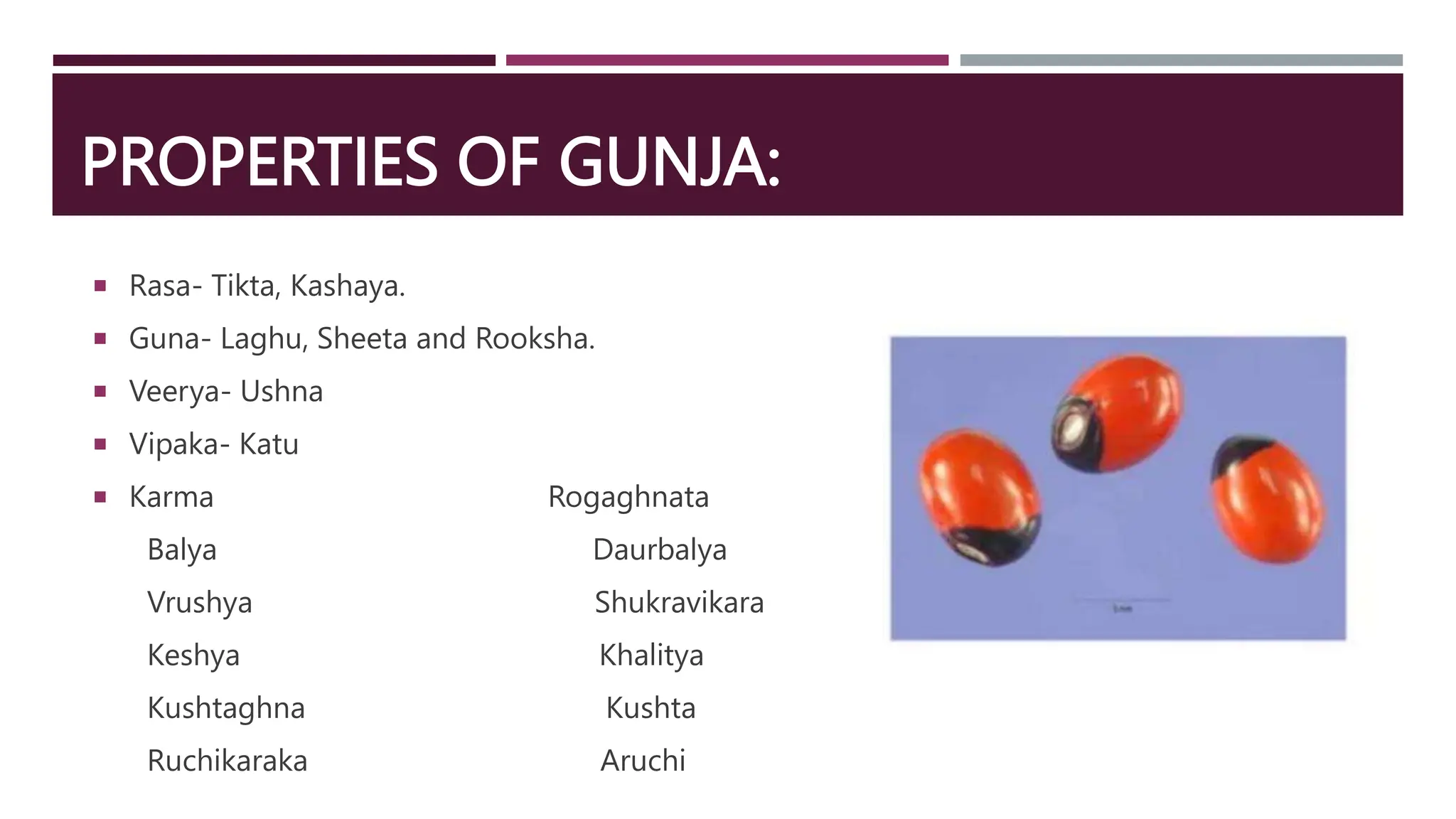 PROPERTIES OF GUNJA:
 Rasa- Tikta, Kashaya.
 Guna- Laghu, Sheeta and Rooksha.
 Veerya- Ushna
 Vipaka- Katu
 Karma Rogaghnata
Balya Daurbalya
Vrushya Shukravikara
Keshya Khalitya
Kushtaghna Kushta
Ruchikaraka Aruchi
 