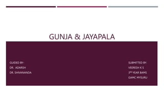 GUNJA & JAYAPALA
GUIDED BY-
DR. ADARSH
DR. SHIVANANDA
SUBMITTED BY:
VEERESH K S
3RD YEAR BAMS
GAMC MYSURU
 