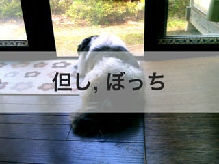 但し, ぼっち
 
