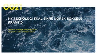 NY TEKNOLOGI SKAL SIKRE NORSK SOKKELS
FRAMTID
Offshore strategikonferansen 2017
Gunnar H. Lille | Direktør OG21
 