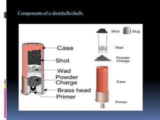 Never travel with a loaded shotgunOther gun safety tips that should be considered