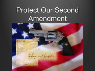 Protect Our Second
Amendment
 