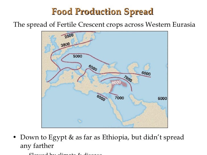 gun germs steels papers 1 this book centers on food production as the main catalyst for cultural evolution, but why was this so critical and how does food production relate to the “guns, germs and steel” of the. gun germs steels papers 1 this book centers on food production as the main catalyst for cultural evolution, but why was this so critical and how does food production relate to the “guns, germs and steel” of the.