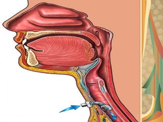 03/12/17 Dr Younas 31
 