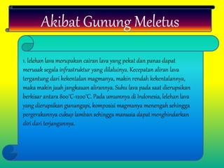 Akibat Gunung Meletus
1. lelehan lava merupakan cairan lava yang pekat dan panas dapat
merusak segala infrastruktur yang dilaluinya. Kecepatan aliran lava
tergantung dari kekentalan magmanya, makin rendah kekentalannya,
maka makin jauh jangkauan alirannya. Suhu lava pada saat dierupsikan
berkisar antara 800˚C-1200˚C. Pada umumnya di Indonesia, lelehan lava
yang dierupsikan gunungapi, komposisi magmanya menengah sehingga
pergerakannya cukup lamban sehingga manusia dapat menghindarkan
diri dari terjangannya.
 
