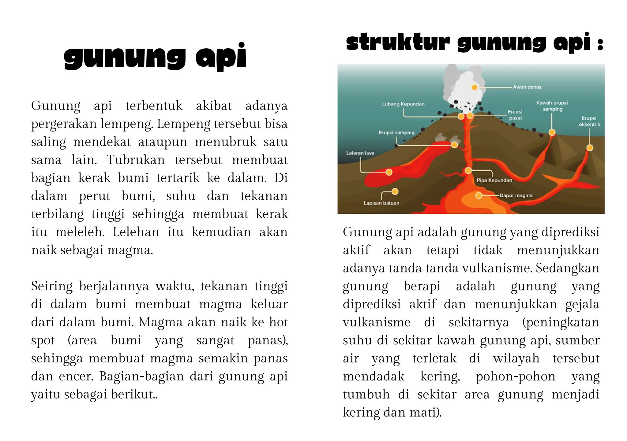 Gunung api terbentuk akibat adanya
pergerakan lempeng. Lempeng tersebut bisa
saling mendekat ataupun menubruk satu
sama lain. Tubrukan tersebut membuat
bagian kerak bumi tertarik ke dalam. Di
dalam perut bumi, suhu dan tekanan
terbilang tinggi sehingga membuat kerak
itu meleleh. Lelehan itu kemudian akan
naik sebagai magma.
Seiring berjalannya waktu, tekanan tinggi
di dalam bumi membuat magma keluar
dari dalam bumi. Magma akan naik ke hot
spot (area bumi yang sangat panas),
sehingga membuat magma semakin panas
dan encer. Bagian-bagian dari gunung api
yaitu sebagai berikut..
Gunung Api Struktur gunung api :
Gunung api adalah gunung yang diprediksi
aktif akan tetapi tidak menunjukkan
adanya tanda tanda vulkanisme. Sedangkan
gunung berapi adalah gunung yang
diprediksi aktif dan menunjukkan gejala
vulkanisme di sekitarnya (peningkatan
suhu di sekitar kawah gunung api, sumber
air yang terletak di wilayah tersebut
mendadak kering, pohon-pohon yang
tumbuh di sekitar area gunung menjadi
kering dan mati).
 