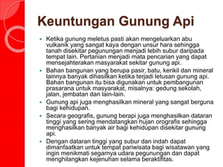 Keuntungan Gunung Api
 Ketika gunung meletus pasti akan mengeluarkan abu
vulkanik yang sangat kaya dengan unsur hara sehingga
tanah disekitar pegunungan menjadi lebih subur daripada
tempat lain. Pertanian menjadi mata pencarian yang dapat
mensejahterakan masyarakat sekitar gunung api.
 Bahan bangunan yang berupa pasir, batu, kerikil dan mineral
lainnya banyak dihasilkan ketika terjadi letusan gunung api.
Bahan bangunan itu bisa digunakan untuk pembangunan
prasarana untuk masyarakat, misalnya: gedung sekolah,
jalan, jembatan dan lain-lain.
 Gunung api juga menghasilkan mineral yang sangat berguna
bagi kehidupan.
 Secara geografis, gunung berapi juga menghasilkan dataran
tinggi yang sering mendatangkan hujan orografis sehingga
menghasilkan banyak air bagi kehidupan disekitar gunung
api.
 Dengan dataran tinggi yang subur dan indah dapat
dimanfaatkan untuk tempat pariwisata bagi wisatawan yang
ingin menikmati segarnya udara pegunungan dan dapat
menghilangkan kejenuhan selama beraktifitas.
 