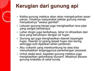 Kerugian dari gunung api
 Ketika gunung meletus akan akan mengeluarkan awan
panas, misalnya masyarakat sekitar gunung merapi
menyebutnya "wedus gembel".
 Letusan gunung berapi juga menghasilkan lava pijar
yang sangat berbahaya.
 Lahar dingin juga berbahaya, lahar ini dihasilkan dari
lava yang bercampur dengan air hujan.
 Gunung api juga menghasilkan daerah bayangan
hujan. Daerah ini jarang terjadi hujan dan kering
sehingga sulit dijadikan lahan pertanian.
 Abu vulkanik yang membumbung ke atas bisa
menyebabkan terganggunya penerbangan pesawat.
 Untuk skala kecil, kejadian gunung meletus juga
menghasilkan gelombang tsunami. Misalnya letusan
gunung krakatau di selat sunda.
 