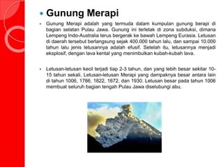  Gunung Merapi
 Gunung Merapi adalah yang termuda dalam kumpulan gunung berapi di
bagian selatan Pulau Jawa. Gunung ini terletak di zona subduksi, dimana
Lempeng Indo-Australia terus bergerak ke bawah Lempeng Eurasia. Letusan
di daerah tersebut berlangsung sejak 400.000 tahun lalu, dan sampai 10.000
tahun lalu jenis letusannya adalah efusif. Setelah itu, letusannya menjadi
eksplosif, dengan lava kental yang menimbulkan kubah-kubah lava.
 Letusan-letusan kecil terjadi tiap 2-3 tahun, dan yang lebih besar sekitar 10-
15 tahun sekali. Letusan-letusan Merapi yang dampaknya besar antara lain
di tahun 1006, 1786, 1822, 1872, dan 1930. Letusan besar pada tahun 1006
membuat seluruh bagian tengah Pulau Jawa diselubungi abu.
 