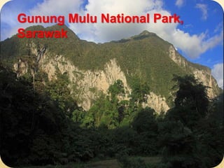 Gunung Mulu National Park,
Sarawak
 
