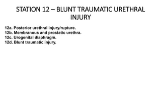 STATION 12 – BLUNT TRAUMATIC URETHRAL
INJURY
12a. Posterior urethral injury/rupture.
12b. Membranous and prostatic urethra.
12c. Urogenital diaphragm.
12d. Blunt traumatic injury.
 