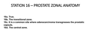 STATION 16 – PROSTATE ZONAL ANATOMY
16a. True.
16b. The transitional zone.
16c. It is a common site where adenocarcinoma transgresses the prostatic
capsule.
16d. The central zone.
 