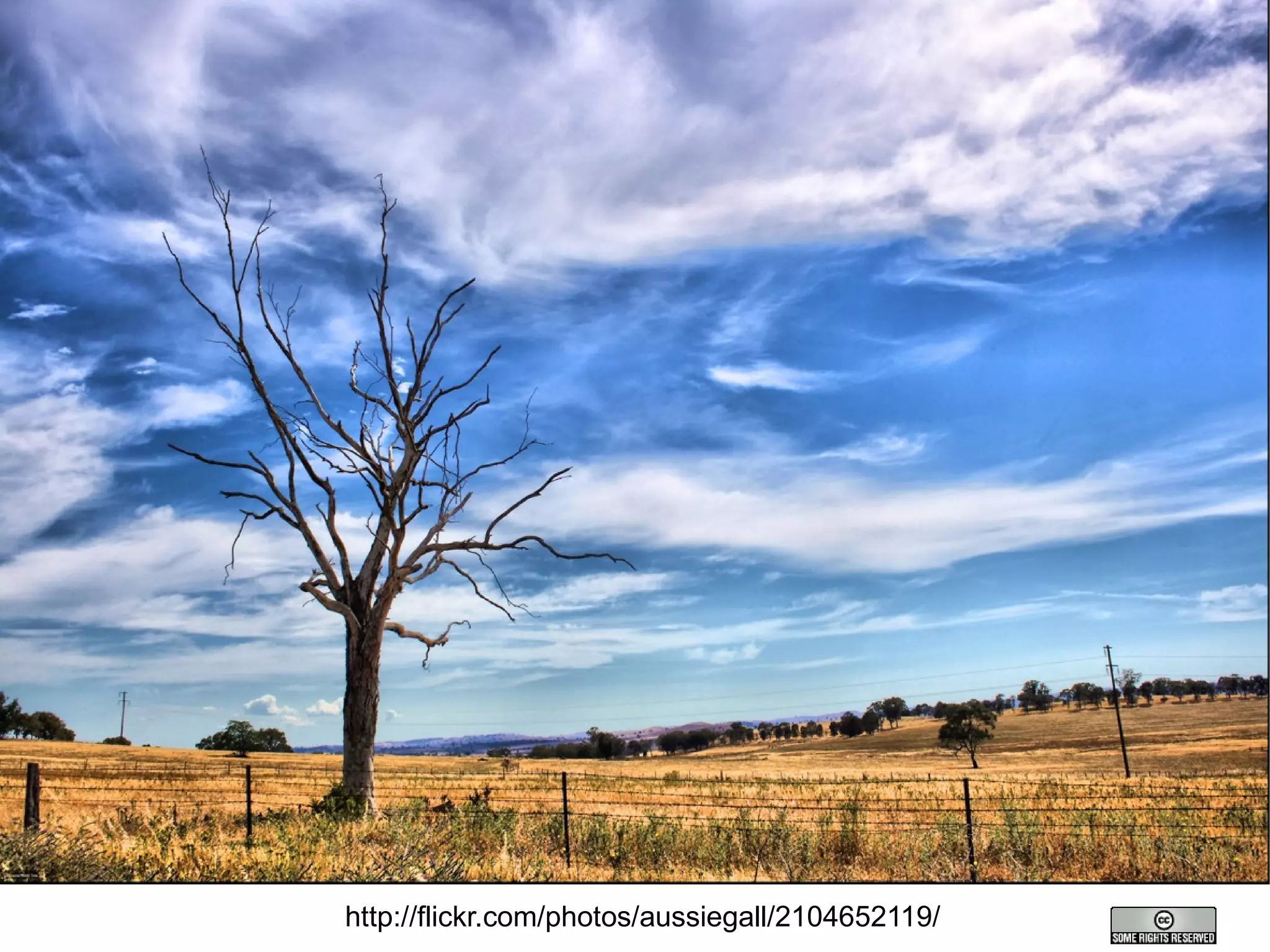 Mozilla Public License 1.1 (MPL) 