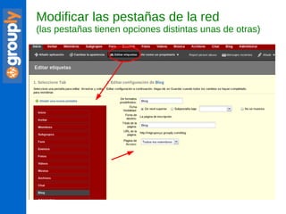 Modificar las pestañas de la red   (las pestañas tienen opciones distintas unas de otras) 