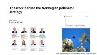 Guri Tveito
November 12th 2020
The work behind the Norwegian pollinator
strategy
https://www.regjeringen.no/en/aktuelt/national-pollinator-strategy/id2606291/
 