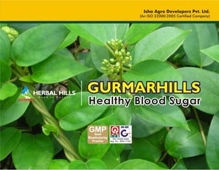 Gurmar A Natural Ways To Lower Blood Sugar Levels